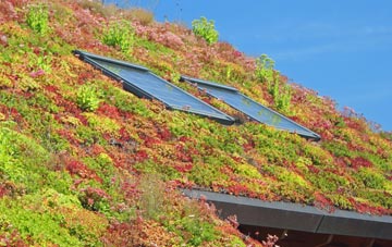 Thornton In Lonsdale living roof systems
