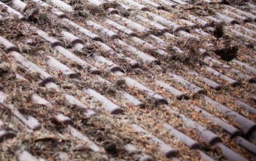 Thornton In Lonsdale roof cleaning companies