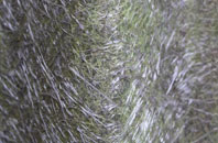 Thornton In Lonsdale fibreglass roof work